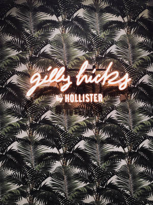Fondo de pantalla de hojas de palmera Hollister — 3:4 Fondos de pantalla