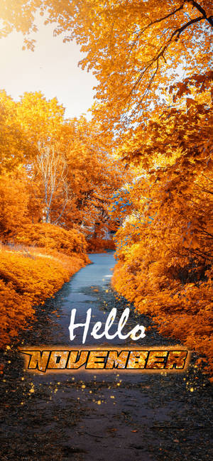 Fondo de pantalla Hola Noviembre camino amarillo del jardín — iPhone 12 Pro Fondos de pantalla