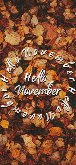 Fondo de pantalla Hola noviembre sobre hojas de otoño — iPhone 14 Pro Fondos de pantalla