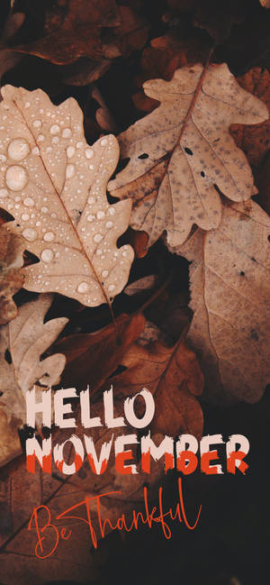 Fondo de pantalla de Hola noviembre, sé agradecido — iPhone 13 Pro Fondos de pantalla