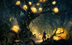 Hombre en un bosque encantado — Bosque oscuro Fondos de pantalla