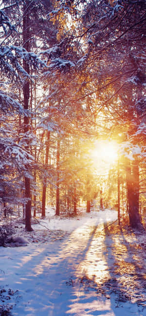 Fondo de Invierno para iPhone XS Max — Galaxia A57 Fondos de pantalla