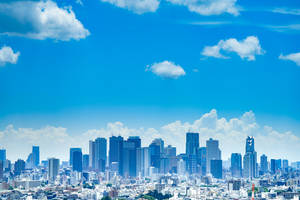 Fondo de pantalla japonés HD del horizonte de Tokio en azul y blanco — Japón GIF Fondos de pantalla