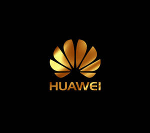 Fondo de pantalla Huawei logo dorado de marca — Huawei Fondos de pantalla