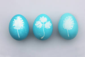Fondo de pantalla de Pascua de tres huevos de Pascua azules o verde azulado con pintura de hojas blancas — 3:2 Fondos de pantalla