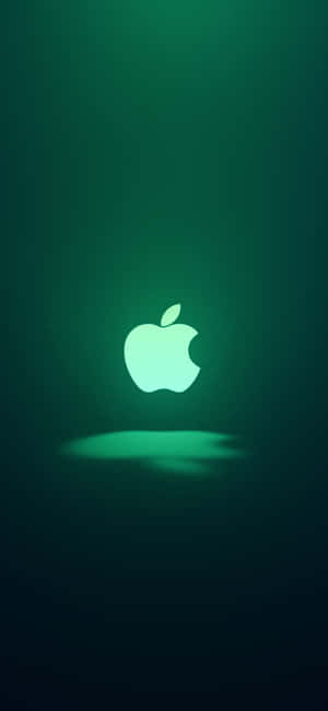 iPhone 11 Verde — iPhone 13 Pro Max Fondos de pantalla