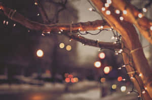 Fondo de luces navideñas — Luces de Navidad Fondos de pantalla