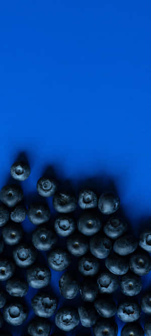 1080x2400 — POCO C71 Fondos de pantalla