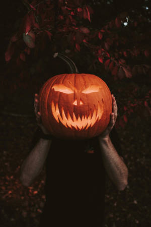 Fondo de pantalla de calabaza de Halloween para celular