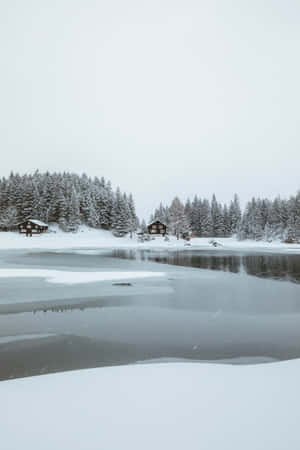 Imágenes de paraíso invernal — Estética invernal Fondos de pantalla