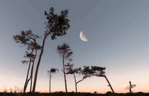 Imágenes de luna — Luna estética Fondos de pantalla