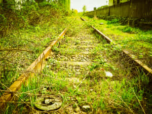 Imágenes de Ferrocarril — Surface Fondos de pantalla