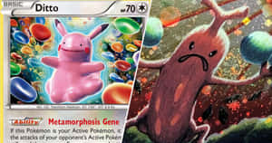 Imágenes divertidas de Pokémon — Pokemon Fondos de pantalla