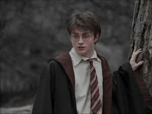 Imágenes estéticas de Harry Potter — Harry potter estético Fondos de pantalla