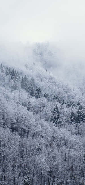 Snow Iphone — iPhone 18 Pro Max Fondos de pantalla