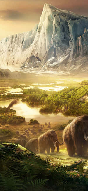 Fondo de Iphone Xs Max Far Cry 4 — POCO F Fondos de pantalla