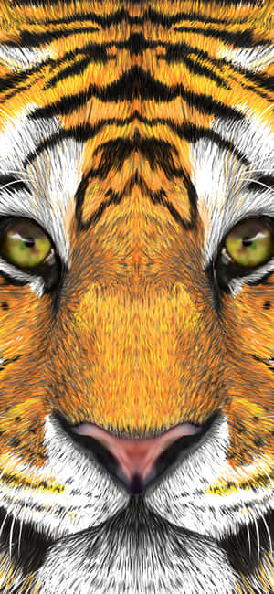 Imágenes de cara de tigre — Infinix GT Fondos de pantalla