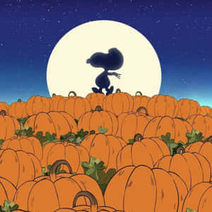 Imágenes de Charlie Brown de Halloween — Charlie Brown Halloween Fondos de pantalla