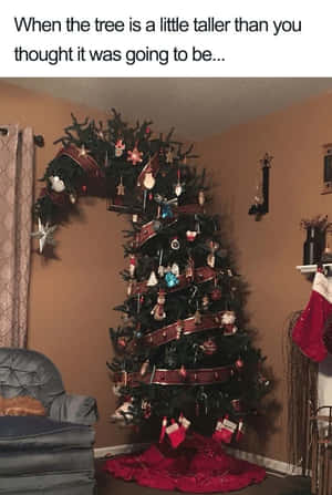 Imágenes divertidas de Navidad — Navidad divertida Fondos de pantalla