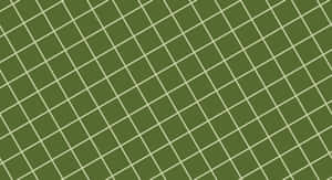Imágenes Estéticas Verdes — Verde claro aesthetic Fondos de pantalla