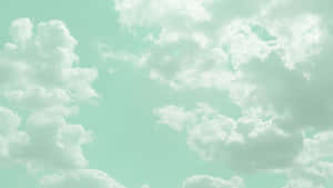 Imágenes estéticas verdes — Verde oscuro aesthetic Fondos de pantalla