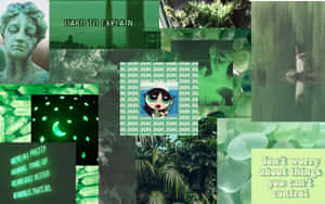 Imágenes estéticas en verde — Verde oscuro aesthetic Fondos de pantalla