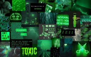 Imágenes Estéticas Verdes — Verde oscuro aesthetic Fondos de pantalla