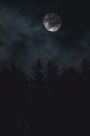 Impresionante Cielo Nocturno — POCO Pad X1 Fondos de pantalla