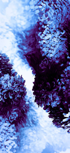 Impresionante obra de arte para Samsung S20 Ultra — Morado aesthetic GIF Fondos de pantalla