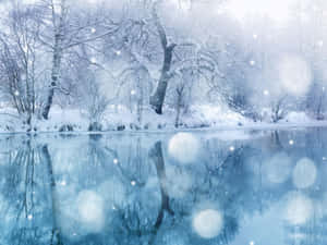 Fondo de Nieve Invernal — Estética de nieve Fondos de pantalla