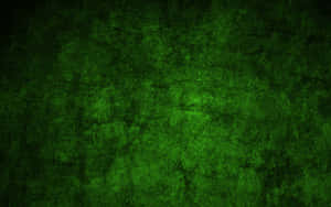 Fondo verde oscuro — Verde oscuro aesthetic Fondos de pantalla