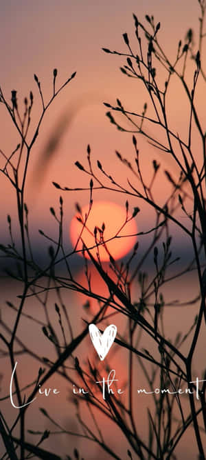 Inspiración de Silueta al Atardecer — POCO M8 Fondos de pantalla