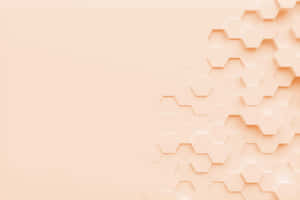 Imágenes de estética beige
