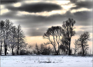Fondo de pantalla de clima sombrío en invierno