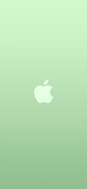 iPhone 11 Verde — Pixel 7 Pro Fondos de pantalla
