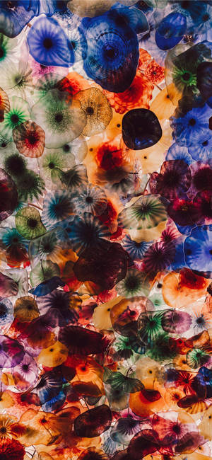 Fondo de pantalla de IPad 11 Pro Max Medusas Coloridas — iPhone 11 Pro Max Fondos de pantalla