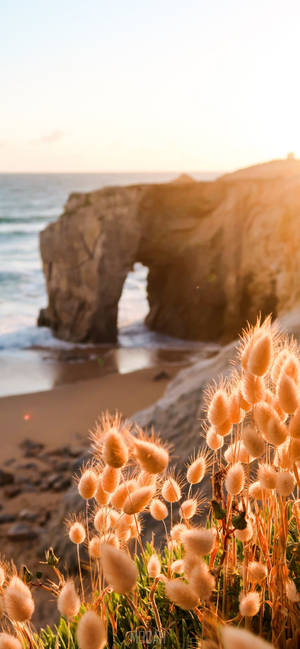 Fondo de pantalla Iphone 12 Pro Max Playa Costera — iPhone 13 Pro Max Fondos de pantalla