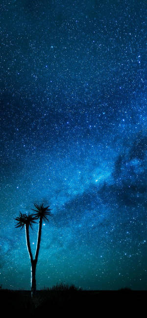 iPhone Azul de Cielo Estrellado Nocturno — iPhone 18 Pro Max Fondos de pantalla
