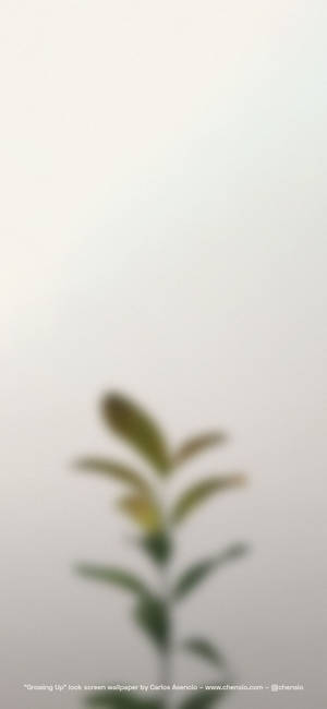 Iphone beige — Galaxia A18 Fondos de pantalla