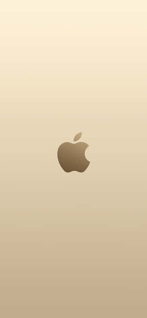 Fondo Dorado — POCO X8 Power Fondos de pantalla