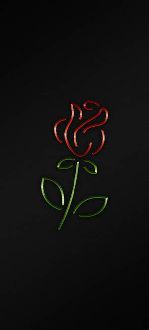 Fondo de pantalla de rosa negra para iPhone — iPhone 15 Fondos de pantalla