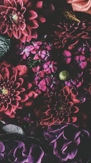 Fondo de pantalla Iphone Xs Flores
