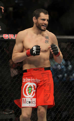 Jon Fitch de pie en el octágono UFC 141 — Honor Pad Fondos de pantalla