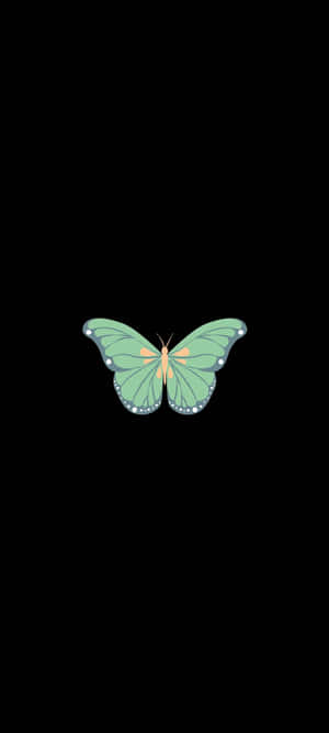 Green Butterfly — Nubia A77 Fondos de pantalla