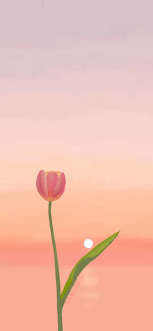 Fondo de tulipanes — Honor Power2 Fondos de pantalla