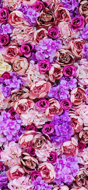Imágenes de flores moradas — POCO C Fondos de pantalla