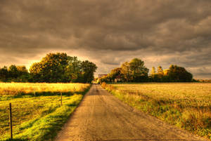 Paisaje de campo verde con árboles y camino despejado durante la temporada de otoño. — Otoño Fondos de pantalla