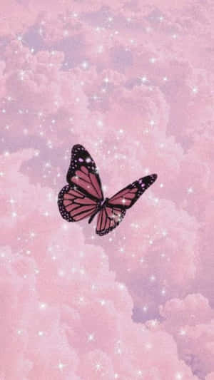 Fotos de mariposas estéticas — Mariposa aesthetic Fondos de pantalla