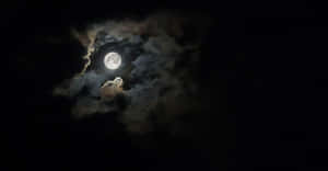 imágenes de luna llena — Luna Noche Cielo Fondos de pantalla