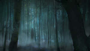 Fondo de bosque oscuro — Bosque oscuro Fondos de pantalla